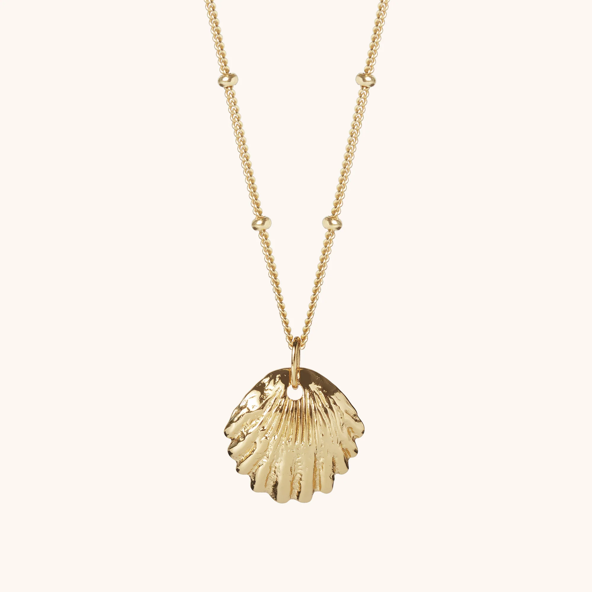 Shell Necklace Gold